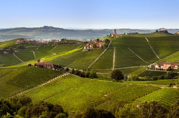 The town of Barbaresco