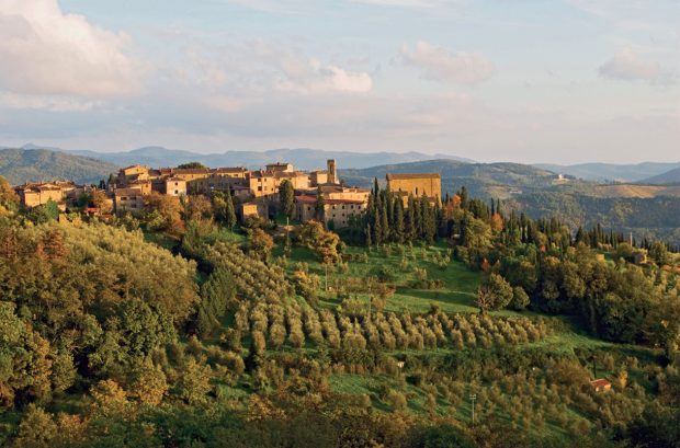 Tuscany vintage report