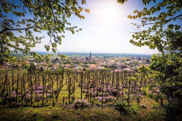 Cornas & St-Péray 2021