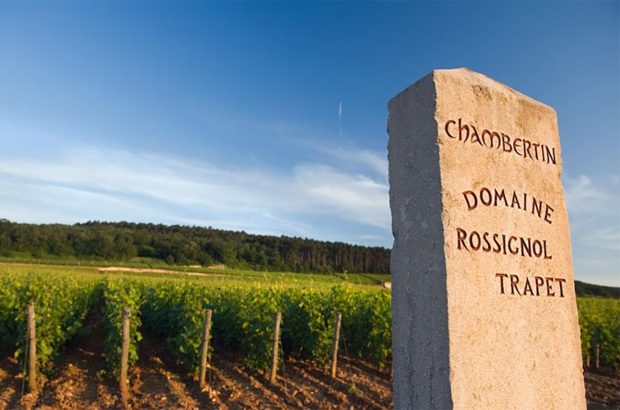 Gevrey-Chambertin 2021