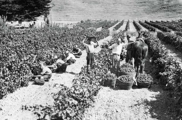 New Zealand’s Church Road winery was founded in 1897