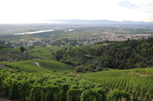 Decanter experience Northern Rhone