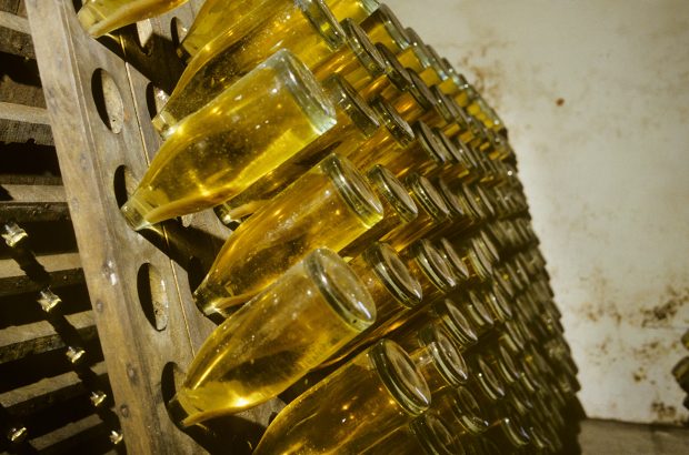 what is sur lie ageing