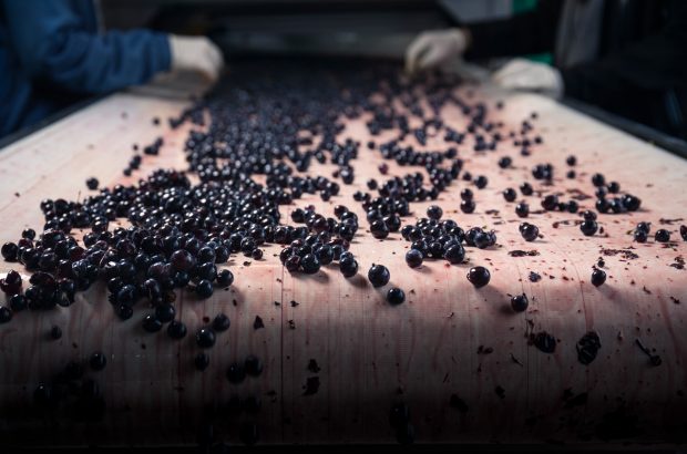 Chianti Classico Riserva 2018