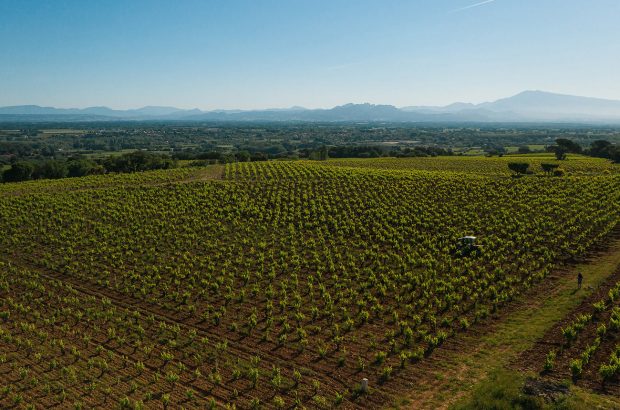 Exploring the southern Rhone
