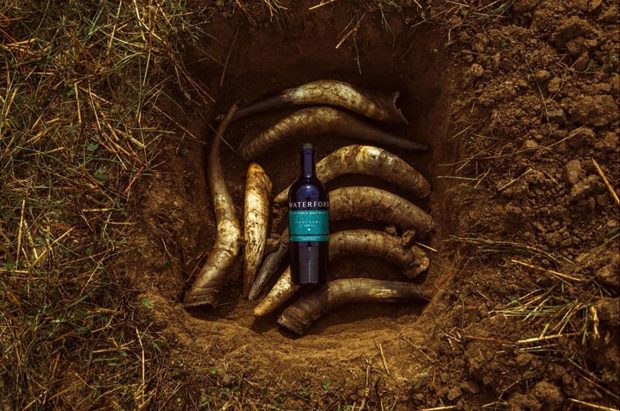 biodynamic whisky 'Luna' from Waterford distillery