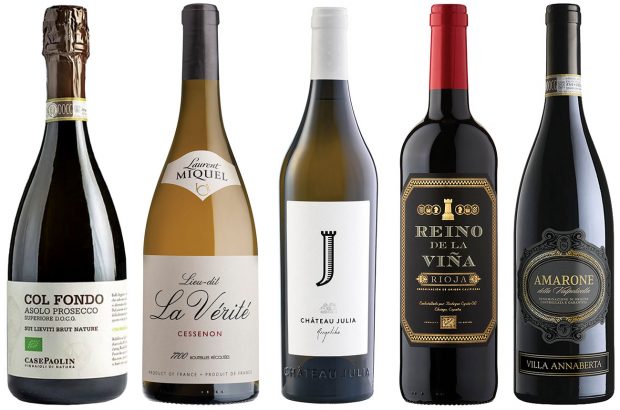 wines for the week bottle line up