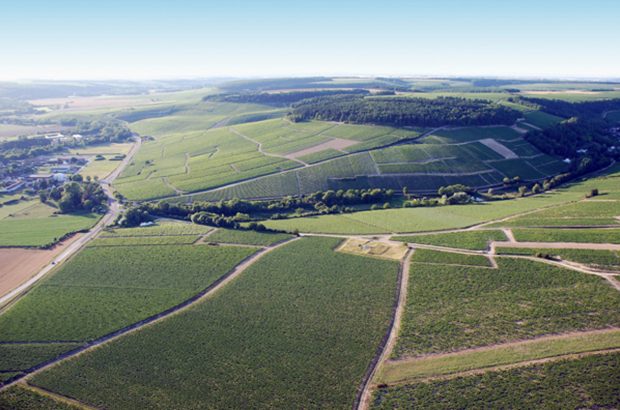 William Fevre - Chablis